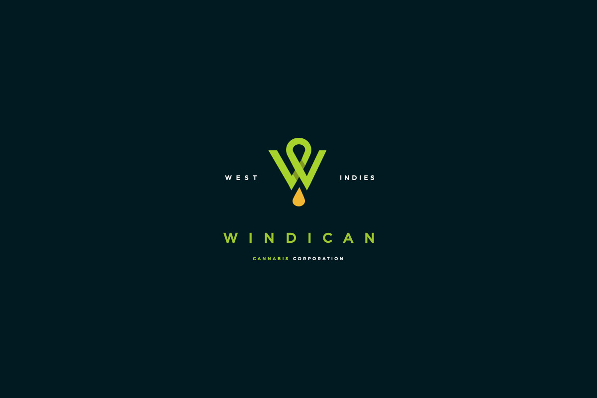 Diseño-Tráfico-Caribe-Estudio-Playa-del-Carmen-diseño-logo-windican